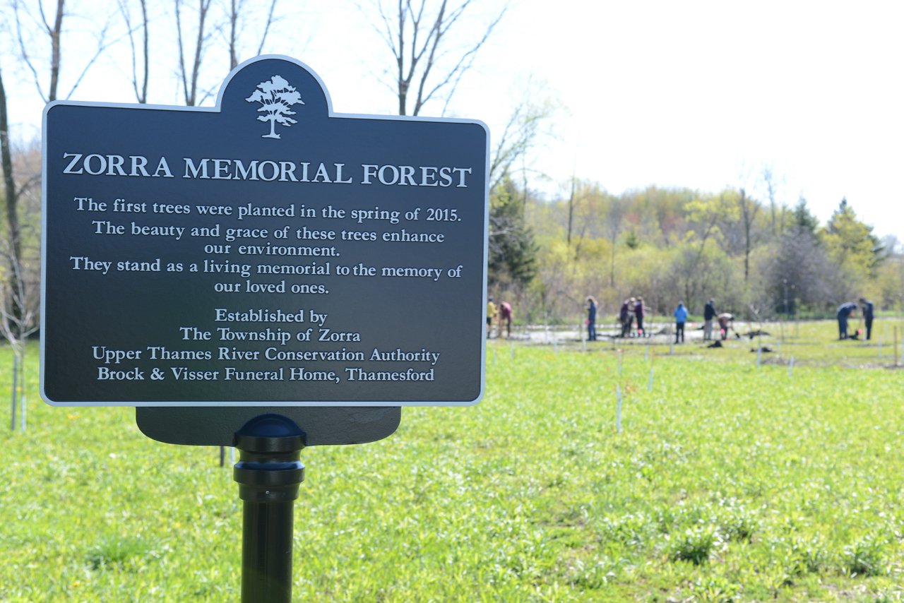memorial tree sign