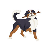 image of dog